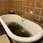 Bathe away your stress at Voya Seaweed Baths, Sligo, Ireland